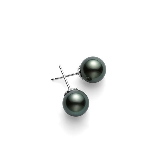 Black South Sea Pearl Stud Earrings 8mm – Murphy Jewelers