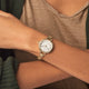 The Birdy 34mm Watch