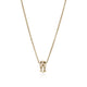 Gold Pendant / Charm