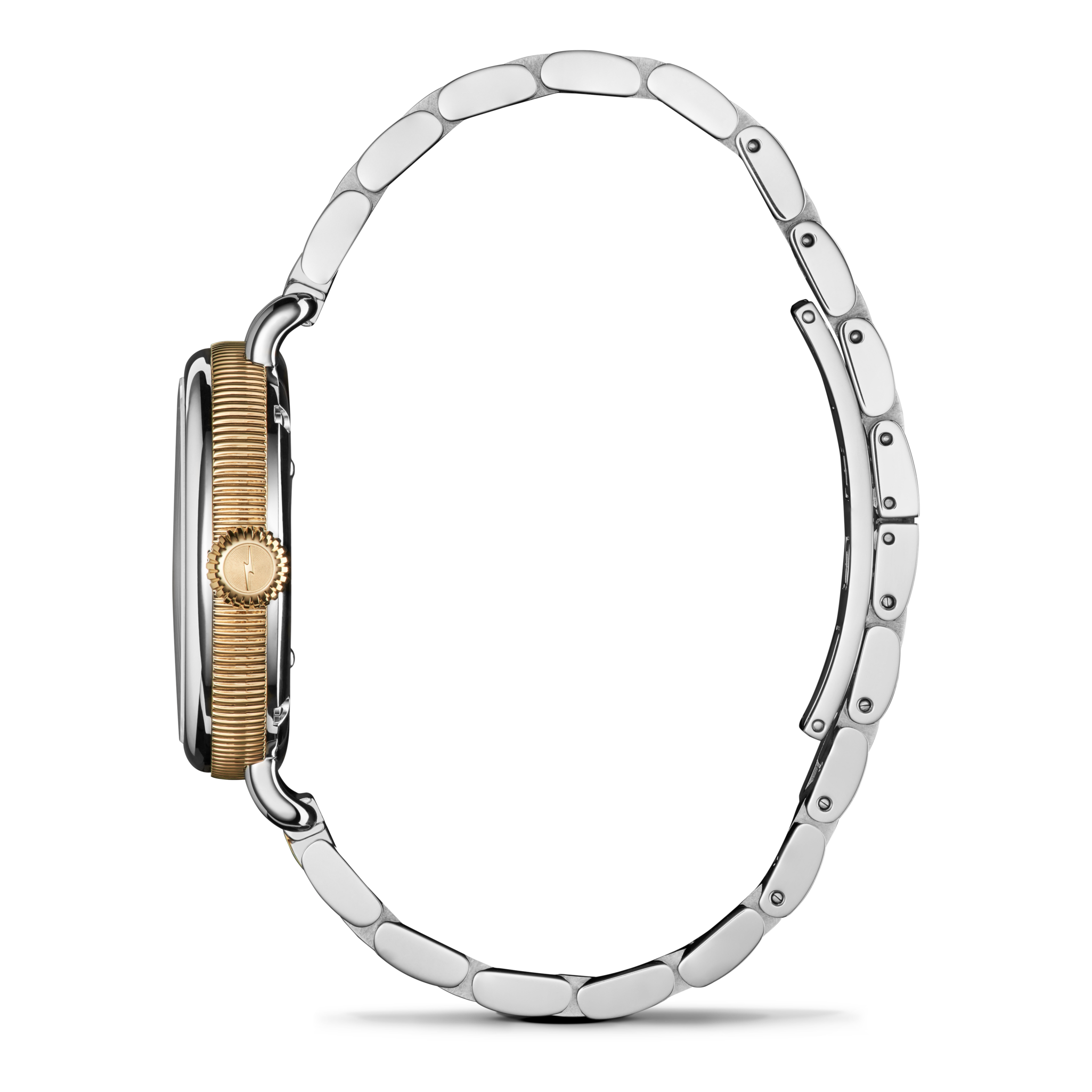 The Birdy Petoskey Watch, 34mm