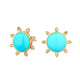 Colored Stone Earring