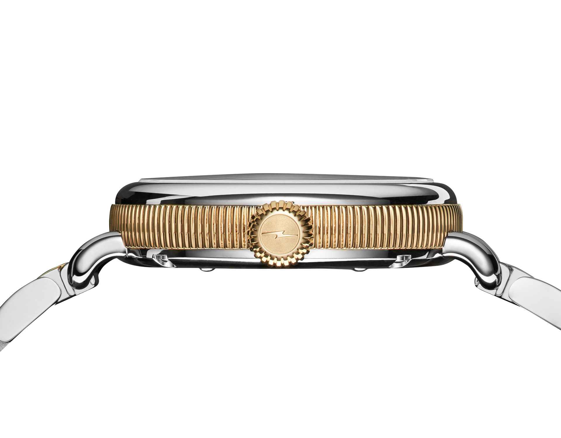 The Birdy Petoskey Watch, 34mm