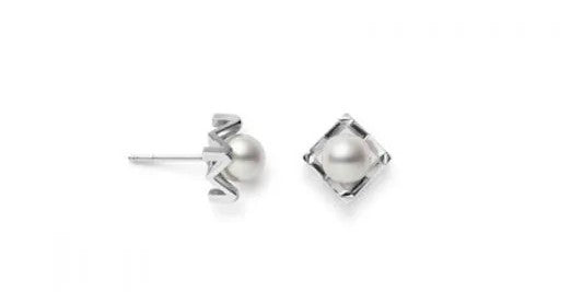M Collection Akoya Cultured Pearl Earrings
