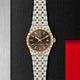 TUDOR Royal - M2836C1A3-0001