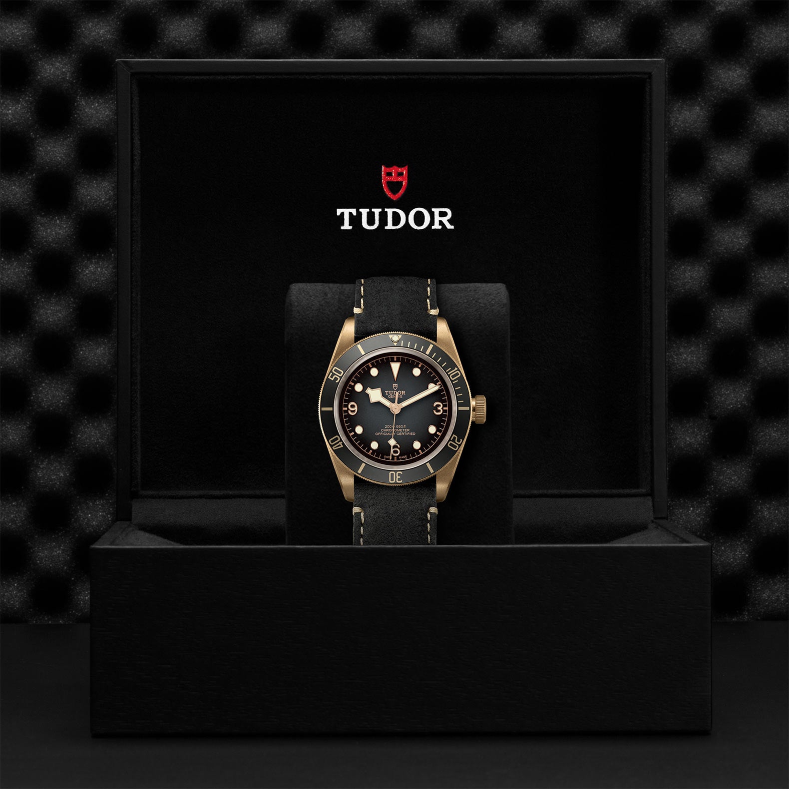 Black Bay Bronze - M79250BA-0001