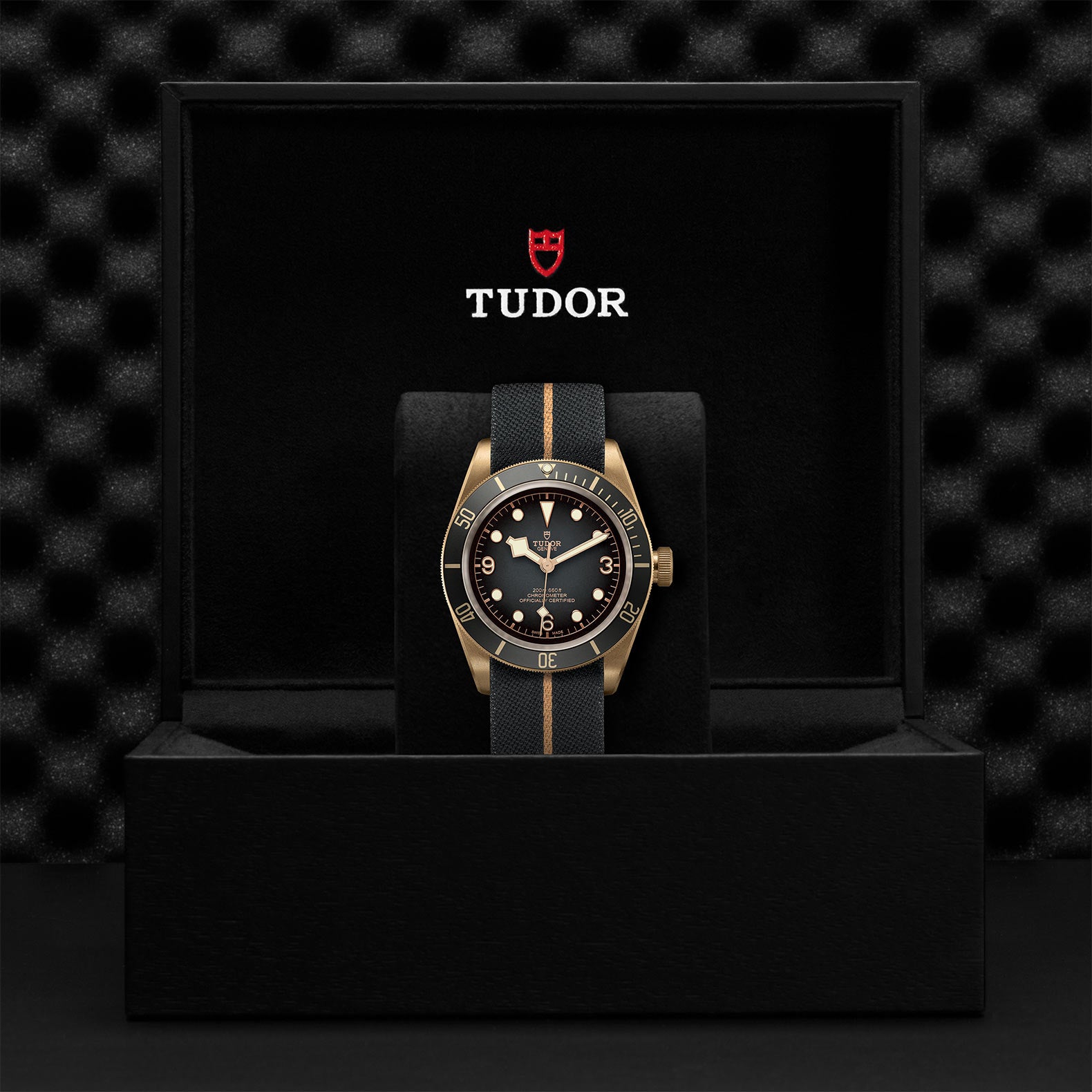 Black Bay Bronze - M79250BA-0002