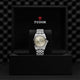 Black Bay 39 - M79660-0006