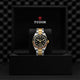 Black Bay GMT S&G - M79833MN-0001