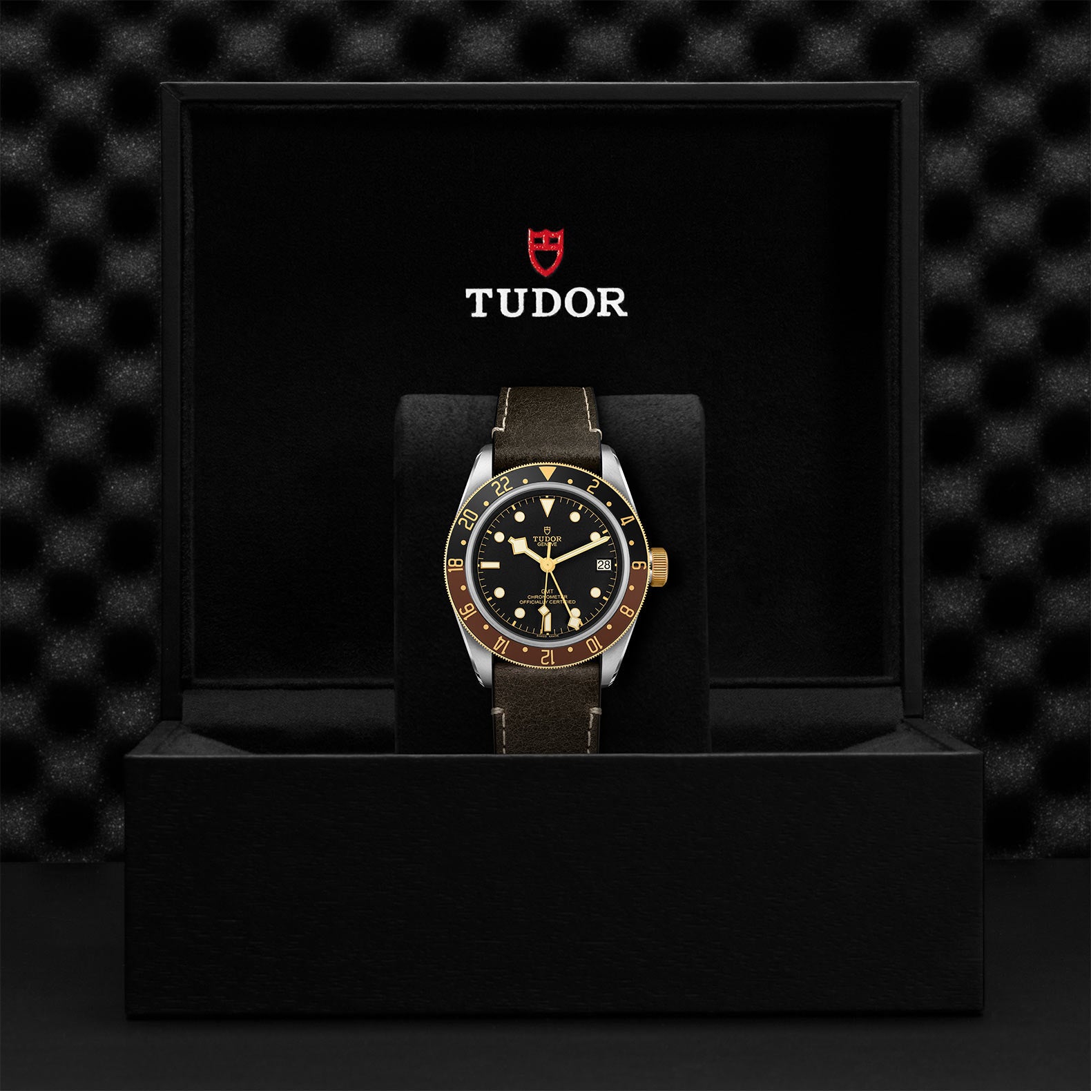 Black Bay GMT S&G - M79833MN-0003