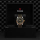 Black Bay GMT S&G - M79833MN-0003