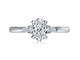 Top view of a 14K white gold three-stone engagement ring with an oval center diamond