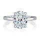 Top view of a 14K white gold four-prong hidden halo engagement ring with an oval center diamond