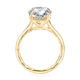 Side view of a 14K yellow gold engagement ring setting showing the hidden halo of small diamonds beneath the center stone