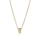 Yellow Gold Icon Pendant Rolo Chain Necklace