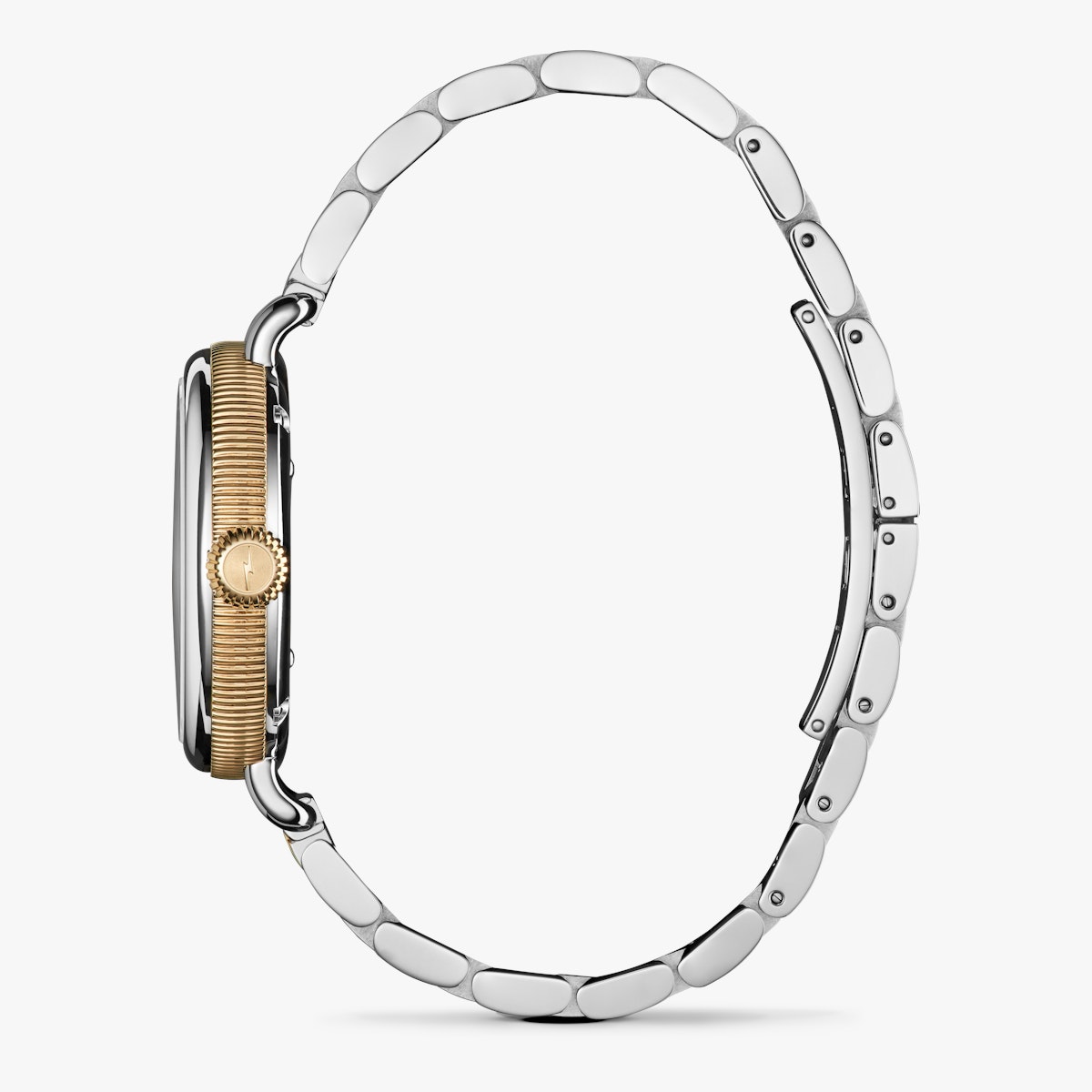 The Birdy 34mm Watch