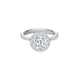 Vela Halo Engagement Ring with Diamond Band