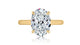 Oval Engagement Ring Setting with Hidden Halo
