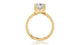 Oval Engagement Ring Setting with Hidden Halo