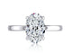 Oval Hidden Halo Engagement Ring Setting