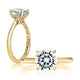 Yellow Gold Round Solitaire Engagement Ring Setting with Surprise Diamonds