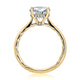 Yellow Gold Round Solitaire Engagement Ring Setting with Surprise Diamonds