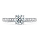 Vela Solitaire Engagement Ring with Diamond Band